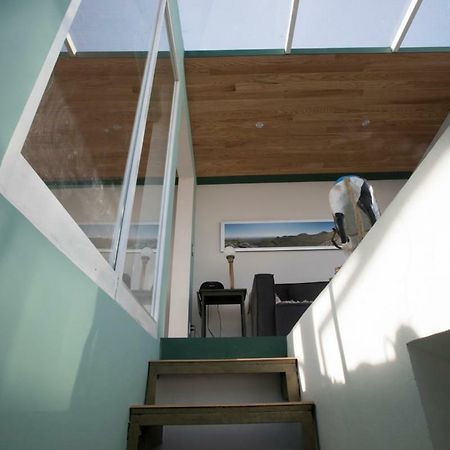 Duplex/Terraza Privada En Corazon Centro Historico Daire Meksika Dış mekan fotoğraf